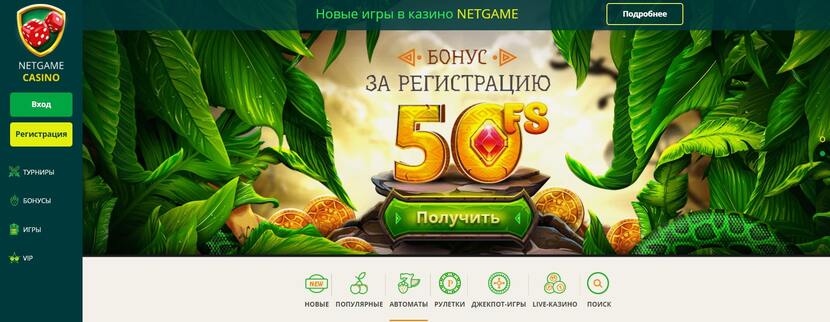 NetGame NetGame
